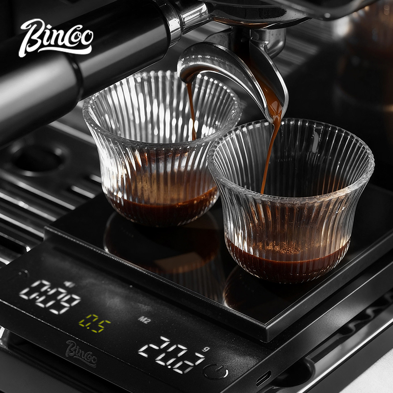 BINCOO Digital Coffee Scale 0. - Scale Drip Timer review and price